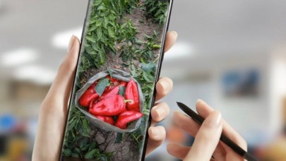 Dijital tarım pazarı nedir? Dijital tarım pazarında ürün nasıl satılacak?