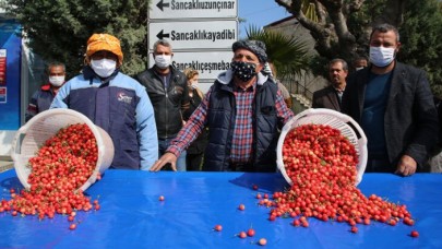 Kiraz çıktı: İlk ürün rekor fiyata satıldı