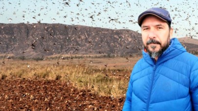 Prof. Dr. Hasan Sevgili: 'Türkiye'de hiç görmediğimiz saldırgan böcek türleri göreceğiz!'