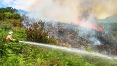 Sabotaj şüphesi: İstanbul’da orman yangını!