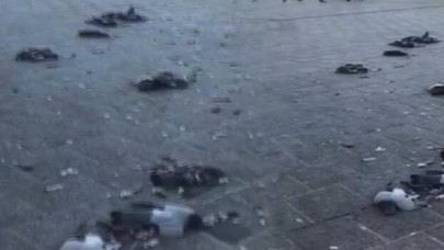 Son surat kuşların içine girdi: Ezerek onlarcasını öldürdü!