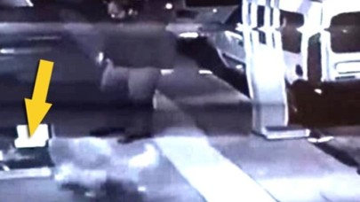 Yeni doğum yapmış kedi yuvasına köpeği saldırttı,  yetmedi tekmeledi