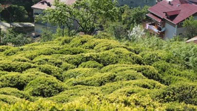 6900 TL maaşla 2 bin işçi aranıyor!