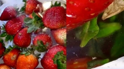 Çilek deneyinin ardındaki gerçek ortaya çıktı!