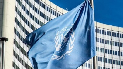 Dünya Sağlık Örgütü'ne alternatif yeni örgüt kurulabilir