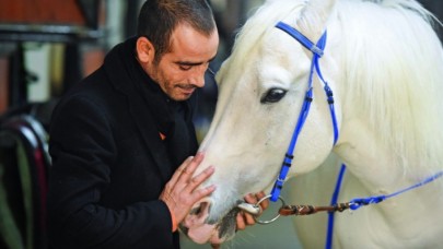 Jokey Selim Kaya'dan uyarı: Süreç uzarsa atlar ölür!
