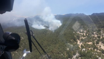 Kaş'ın ardından şimdi de Demre: 8 hektarlık alanda büyük zarar