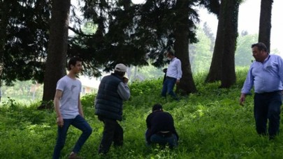 Trabzonlular meteor arayışında: 'Bulursak devletimize teslim edeceğiz'