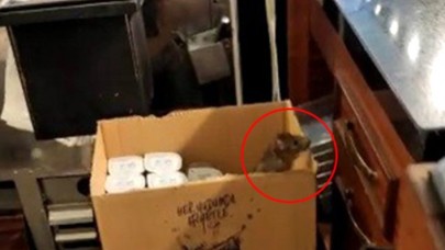 Ünlü tatlıcıda görülen fare mide bulandırdı: Sosyal medya karıştı!