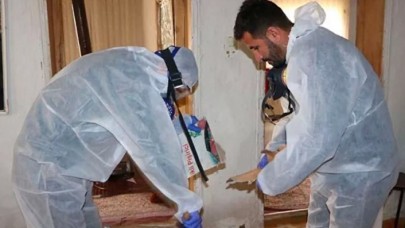 Hakkari'de yaşayan ailenin evinden 20 yılan çıktı!