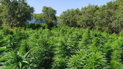 Diyarbakır'da dev operasyon! Tek seferde yakalanan en büyük miktar oldu