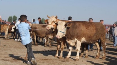 Kurban Bayramı ceza bayramına dönüşebilir: İşte Kurban Bayramı kuralları