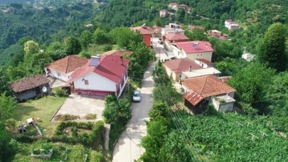 Ordu'daki Yazlık Mahallesi'nde herkesin soyadı aynı: Jandarma 1 kişiyi çağırıyor 10 kişi geliyor