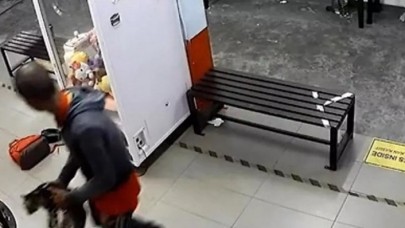 3 kediyi çamaşır makinesine atarak öldürdü