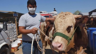 'Adanalı Ronaldo',  27 bin liraya satıldı