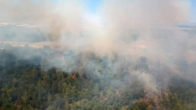 Antalya'da orman yangını