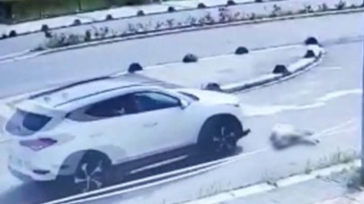 Arabasıyla köpeği ezip kaçan Doç. Dr. Birsen Ocaklı hakkında suç duyurusu!