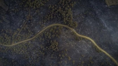 Bakan Pakdemirli'den 'Gelibolu' açıklaması: Yangın kontrol altında