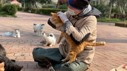 Bakan Soylu'dan doğa ve hayvanseverleri sevindirecek uygulama: HAYDİ