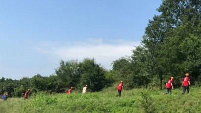 Belediye başkanı ormanlık alanda ölü bulundu!