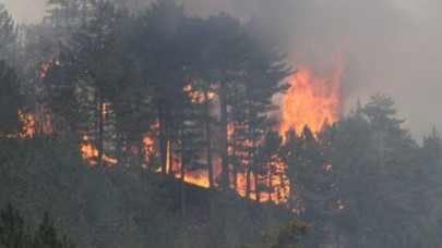 Beyşehir ormanları cayır cayır yanıyor!