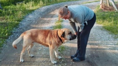 Emekli albay komşusunun köpeği Cesur'u vahşice öldürdü!