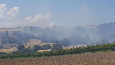 Çanakkale Kemel'de orman yangını