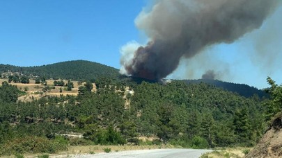 Çanakkale'de son bir ayda 3. yangın çıktı