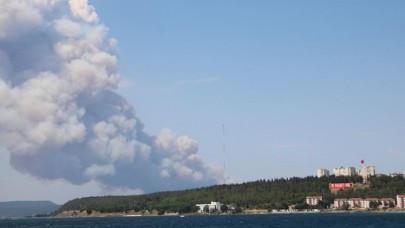 Gelibolu Yarımadası yanıyor: Çanakkale Boğazı'nda gemi trafiği durduruldu