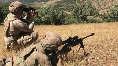 Gri listedeki Ferhat Ateş etkisiz hale getirildi