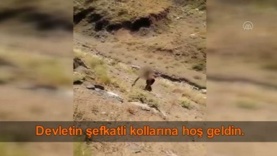 Hakkari'de bir teröristin teslim olma anı kameralara yansıdı
