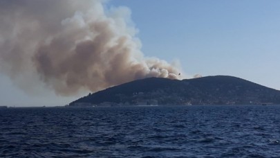 Heybeliada'daki yangınla ilgili gözaltına alınan kişi tutuklandı
