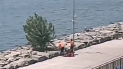 İBB ile Tevfik Göksu arasında yeni tartışma: O ağacı kim kesti?