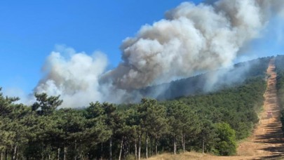 İstanbul’da korkutan yangın: Helikopterler müdahale etti!
