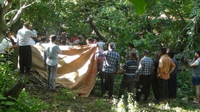 Kestiği ağacın altında kalan Şıho Sevindi öldü