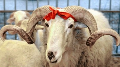 Kredi kartıyla kurbanlık alınır ama: Bir şart var