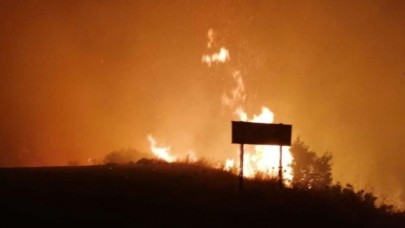 Manavgat’da sabaha karşı orman yangını