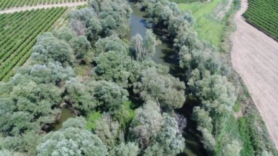 Nehrin ortasındaki adacıkta zehir bahçesi! Drone ile tespit edildi