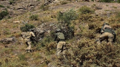 Siirt kırsalında 2 terörist etkisiz hale getirildi