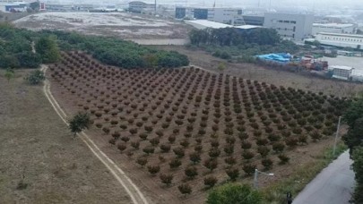 TOKİ,  yüzlerce arsayı açık artırma usulüyle satışa çıkarıyor