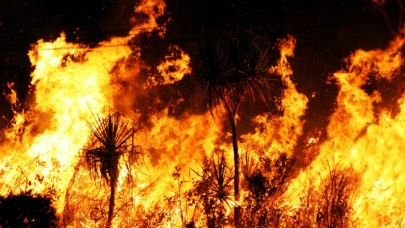Türkiye yanıyor: Her yer alev alev,  1 günde 24 yangın