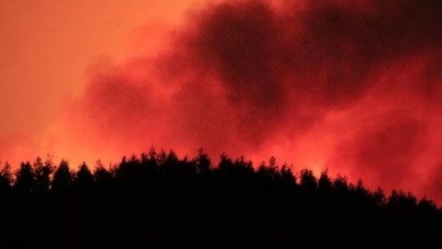 Adana'da orman yangını: 6 köy ve 800 hane boşaltıldı!