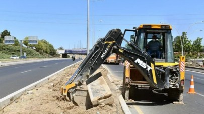 Ankara'da ağaçların kurumasıyla ilgili açıklama geldi: Sebebi sulamamak değil altına atılmış beton