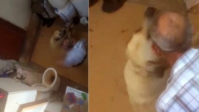 Antalya'da iğrenç olay! Ayaklarını hortumla bağladığı köpeğe tecavüz ederken yakalandı!