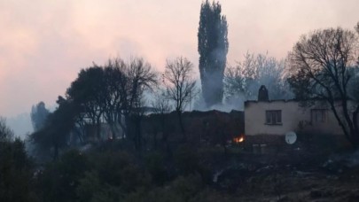 Aydın'da başladı,  Muğla'ya kadar ulaştı! Felaketin boyutu gün ağırınca ortaya çıktı
