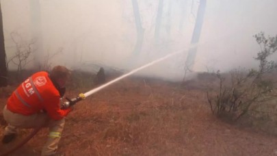 Aydos'ta orman yangını