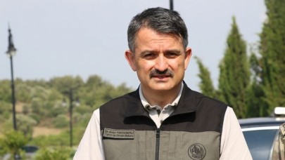 Bakan Pakdemirli: Adana'daki orman yangını kontrol altına alındı