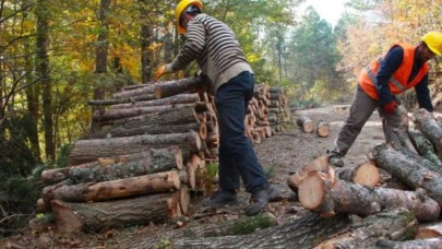 Yüzbinlerce kişiye müjde: Kredilerin faizleri kaldırıldı!