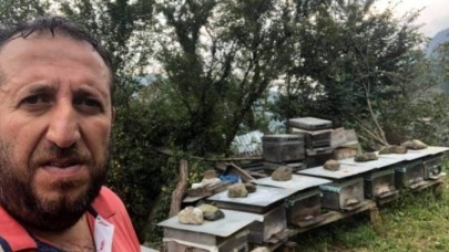 Bal üreticisini arı soktu: İlyas Pistil öldü