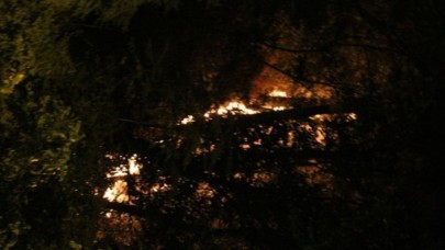 Bir orası kalmıştı: Emirgan Korusu'nda yangın çıktı!